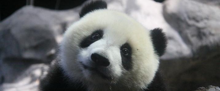 84626f350fb2b7570b55a90b