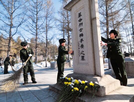 964685238c91616b6b6e38b137cc72b2