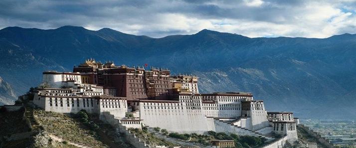 1012282218d4790db8643eb92d