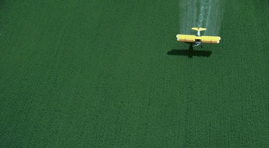 a23f58a0b00a2bb15691e4abe38498fa