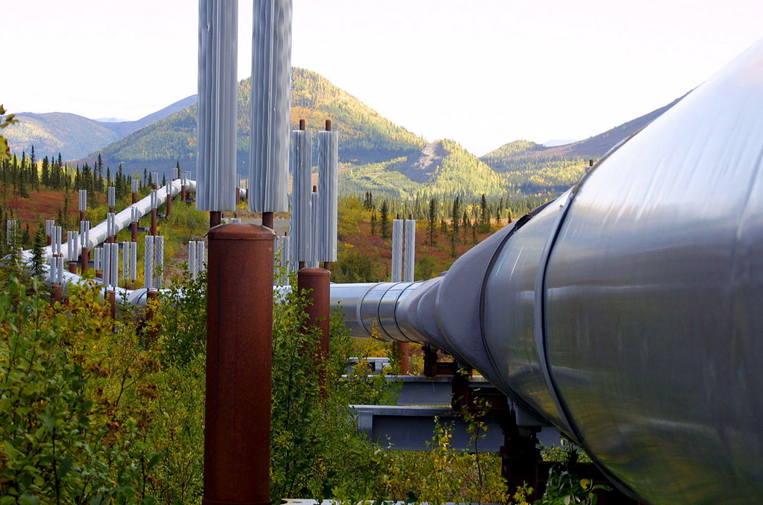 5603565cd1c6e631091169