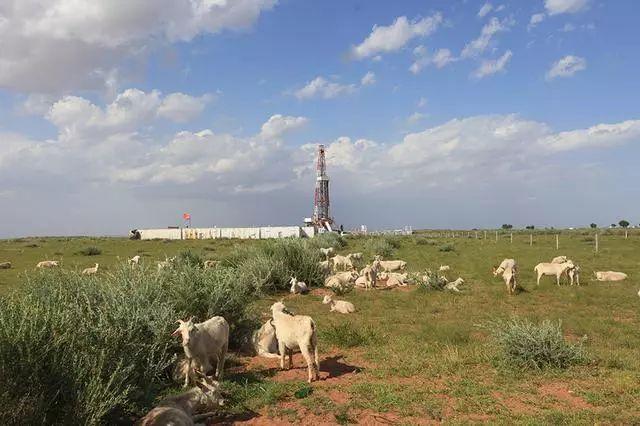 23ea0f9c051b47b3bbfd60e335e5a43e